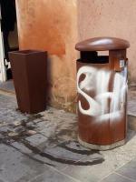 Degrado e mancanza di regole, la Mascioni attacca i padroni dei cani Degrado e mancanza di regole, la Mascioni attacca i padroni dei cani