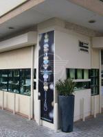 Ancora una rapina, stavolta in viale Vespucci: ferito il proprietario della gioielleria Marchini Ancora una rapina, stavolta in viale Vespucci: ferito il proprietario della gioielleria Marchini
