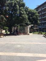 Renzi: "Amministrazione Gnassi contro gli alberi nel giardino Ferrari" Renzi: "Amministrazione Gnassi contro gli alberi nel giardino Ferrari"