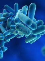 Il sindaco Renata Tosi firma un'ordinanza per la sorveglianza e il controllo della legionella Il sindaco Renata Tosi firma un'ordinanza per la sorveglianza e il controllo della legionella