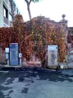 Dignità per l'ex Sferisterio Dignità per l'ex Sferisterio