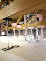 Teatro Galli: ricche decorazioni sulla volta Teatro Galli: ricche decorazioni sulla volta