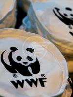 Depositata dal WWF Rimini la denuncia per il massacro del lupo ad Ospedaletto Depositata dal WWF Rimini la denuncia per il massacro del lupo ad Ospedaletto