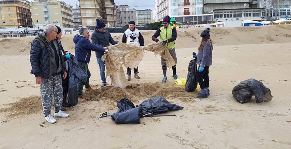 Spiaggia ripulita Spiaggia ripulita