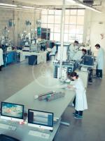 Produzione ed export: crescita da primato Produzione ed export: crescita da primato