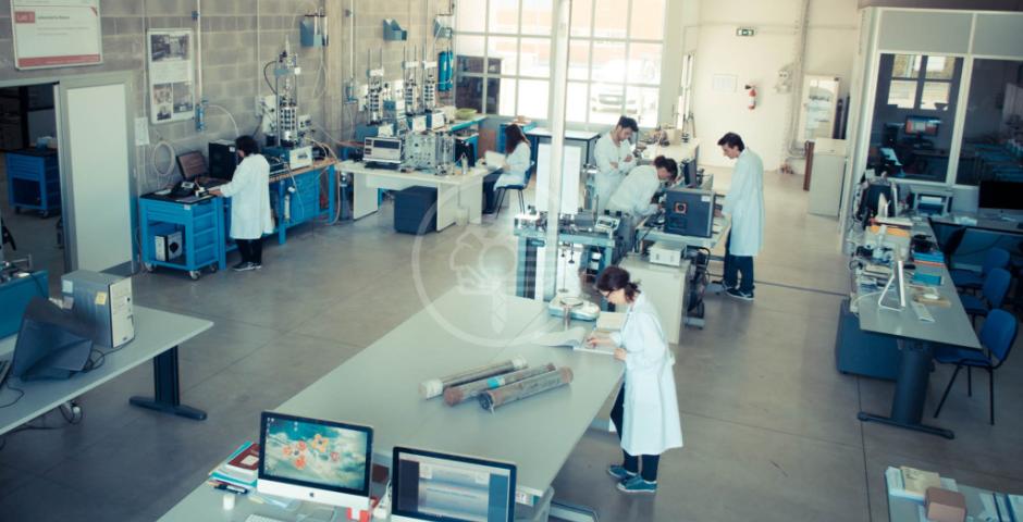 Produzione ed export: crescita da primato Produzione ed export: crescita da primato