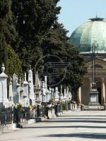 Cimitero: nuovi lavori di manutenzione Cimitero: nuovi lavori di manutenzione