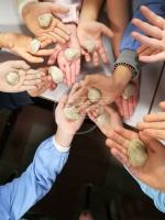 Le attività del Museo dedicate alle scuole Le attività del Museo dedicate alle scuole