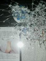 Vandalizzata la bacheca di FdI Vandalizzata la bacheca di FdI