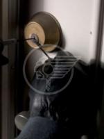 Ladri in azione, case nel mirino Ladri in azione, case nel mirino