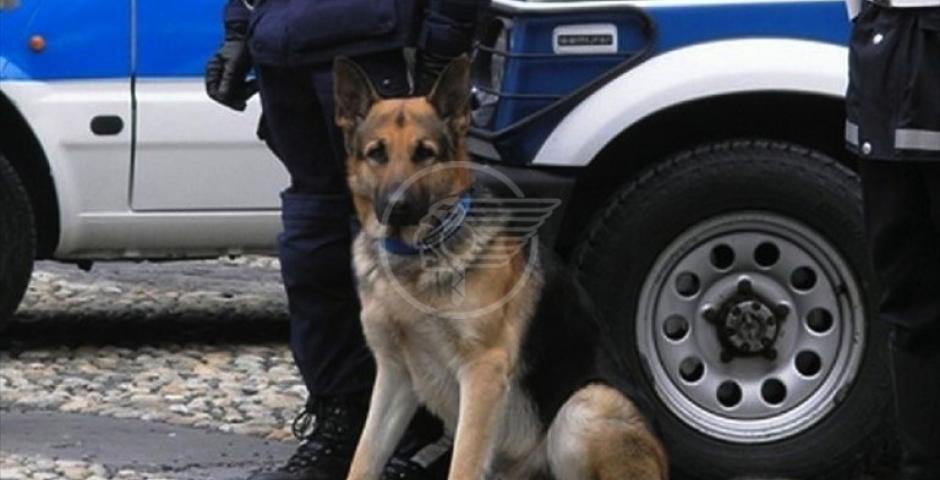 Un agente in più per la Municipale: il cane Un agente in più per la Municipale: il cane