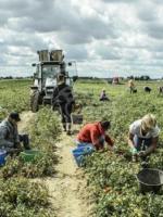Agricoli in stato di agitazione Agricoli in stato di agitazione