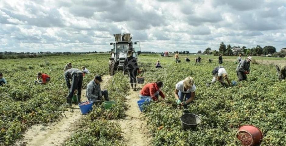 Agricoli in stato di agitazione Agricoli in stato di agitazione