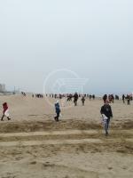 Italia Nostra dà una mano al mare della Perla Italia Nostra dà una mano al mare della Perla