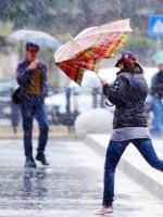 Allerta meteo, vento forte e pioggia in arrivo Allerta meteo, vento forte e pioggia in arrivo