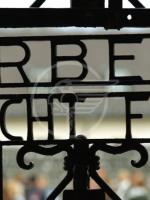 Sdegno per la scritta nazista in officina Sdegno per la scritta nazista in officina