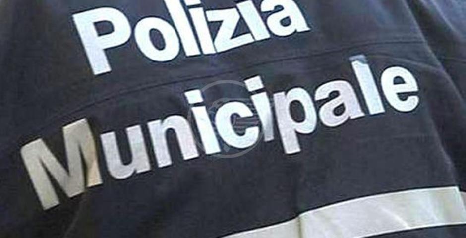 I numeri della Polizia Municipale di vallata I numeri della Polizia Municipale di vallata