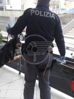 Spuntano ladri come funghi: un arresto e due denunce Spuntano ladri come funghi: un arresto e due denunce