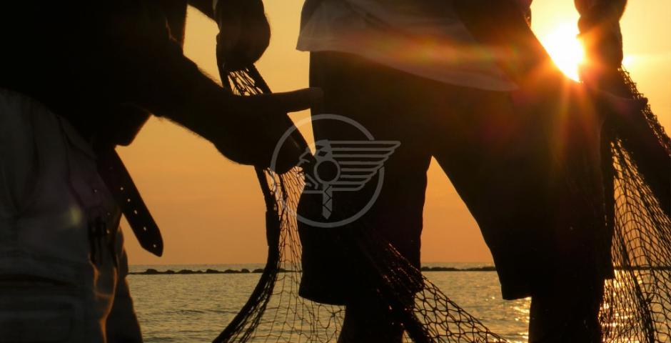 La pesca alla Tratta secondo Marina Carlini La pesca alla Tratta secondo Marina Carlini