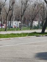 Carovana di nomadi si installa a Miramare Carovana di nomadi si installa a Miramare