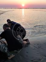 La pesca alla Tratta secondo Marina Carlini La pesca alla Tratta secondo Marina Carlini