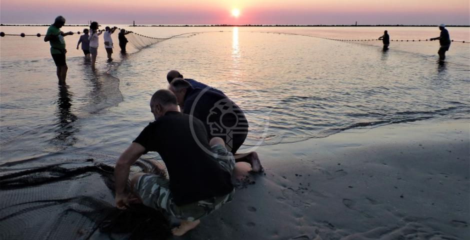 La pesca alla Tratta secondo Marina Carlini La pesca alla Tratta secondo Marina Carlini