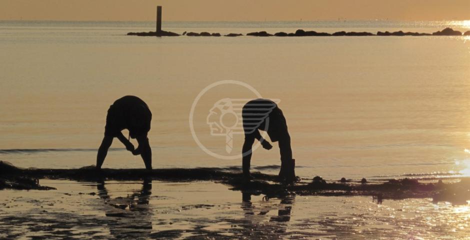 La pesca alla Tratta secondo Marina Carlini La pesca alla Tratta secondo Marina Carlini