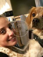 Tale cane tale padrone: parte la seconda fase Tale cane tale padrone: parte la seconda fase