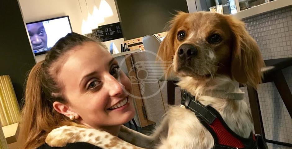 Tale cane tale padrone: parte la seconda fase Tale cane tale padrone: parte la seconda fase