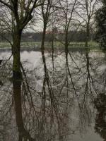 Parco del Gelso e area cani ora sono laghi Parco del Gelso e area cani ora sono laghi
