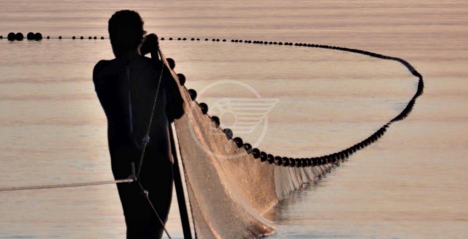 La pesca alla Tratta secondo Marina Carlini La pesca alla Tratta secondo Marina Carlini