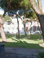 Alla scuola Toti ladri in azione nella notte Alla scuola Toti ladri in azione nella notte