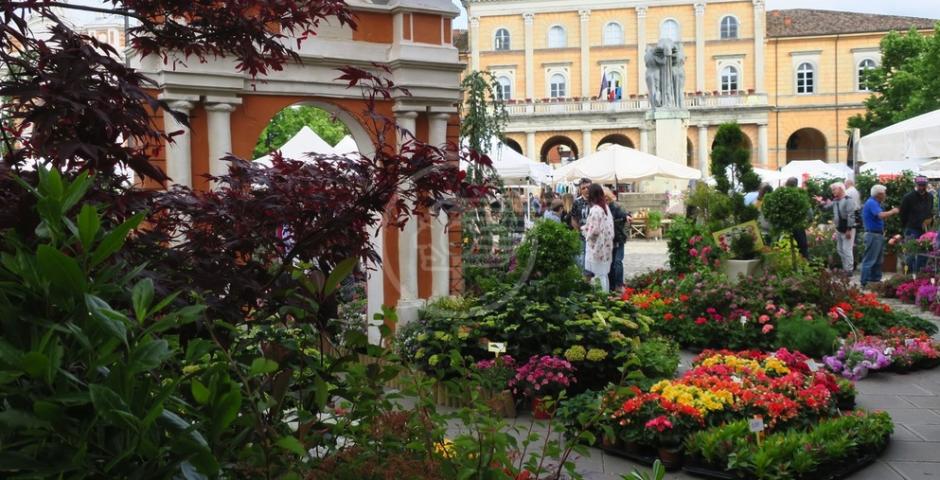 Edizione speciale di Balconi Fioriti: 3o° anno Edizione speciale di Balconi Fioriti: 3o° anno