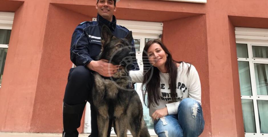 All'alba nuovo blitz nelle colonie con il cane Ziko All'alba nuovo blitz nelle colonie con il cane Ziko