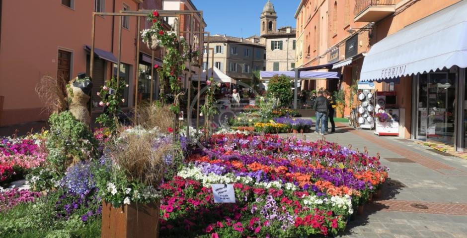 Edizione speciale di Balconi Fioriti: 3o° anno Edizione speciale di Balconi Fioriti: 3o° anno
