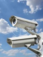 Montevecchi: "Telecamere ora? Operazione elettorale" Montevecchi: "Telecamere ora? Operazione elettorale"