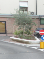In 7 sulla Mini, guidatore ubriaco e denunciato: patente da rifare In 7 sulla Mini, guidatore ubriaco e denunciato: patente da rifare