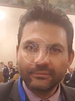 Vicario (Fi): "Mattarella copertura del nulla politico" Vicario (Fi): "Mattarella copertura del nulla politico"