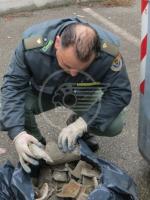 Tre multati per i rifiuti Tre multati per i rifiuti