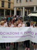 Il Punto Rosa chiede rispetto: "Basta falsità e nessun distintivo" Il Punto Rosa chiede rispetto: "Basta falsità e nessun distintivo"