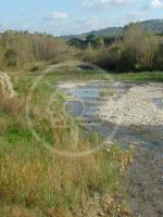 Con il WWF per ripulire il Conca dai rifiuti Con il WWF per ripulire il Conca dai rifiuti