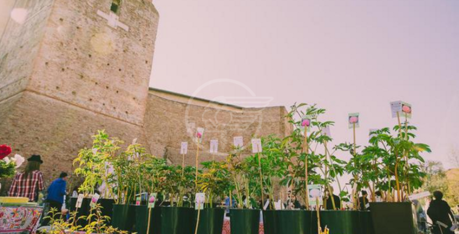 Quasi 18mila in 3 giorni per "Giardini d'Autore" Quasi 18mila in 3 giorni per "Giardini d'Autore"
