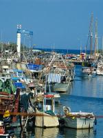 Bucci: "No alla megafontana sul porto a danno di pescatori e diportisti" Bucci: "No alla megafontana sul porto a danno di pescatori e diportisti"