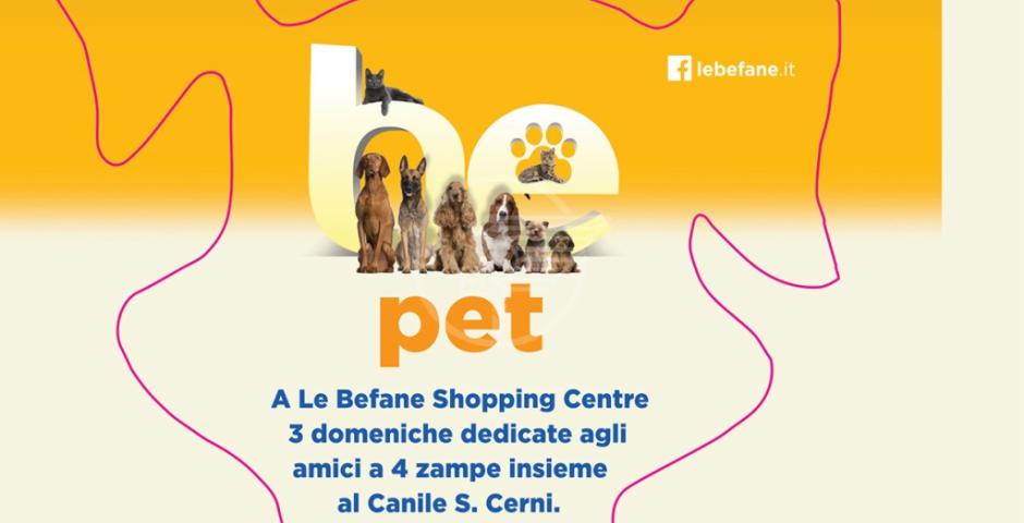 Tre domeniche di 'cultura cinofila' alle "Befane" Tre domeniche di 'cultura cinofila' alle "Befane"