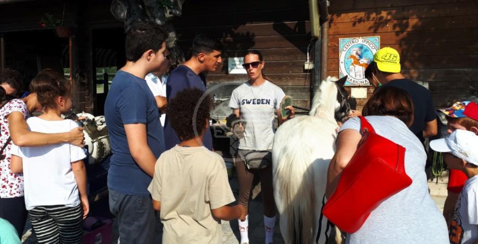 Ippoterapia, primo dei sei incontri a S. Giovanni Ippoterapia, primo dei sei incontri a S. Giovanni