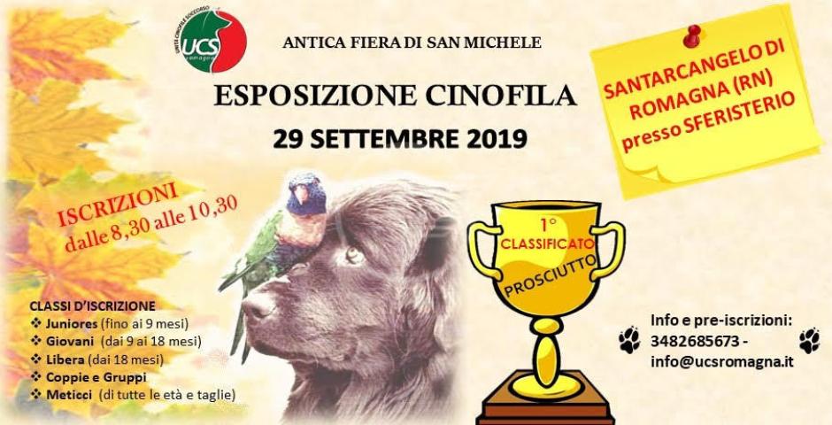 Esposizione cinofila di Ucs Romagna il 29 Esposizione cinofila di Ucs Romagna il 29