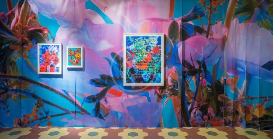 Photosynthesis Experience resta fino al 3 novembre Photosynthesis Experience resta fino al 3 novembre