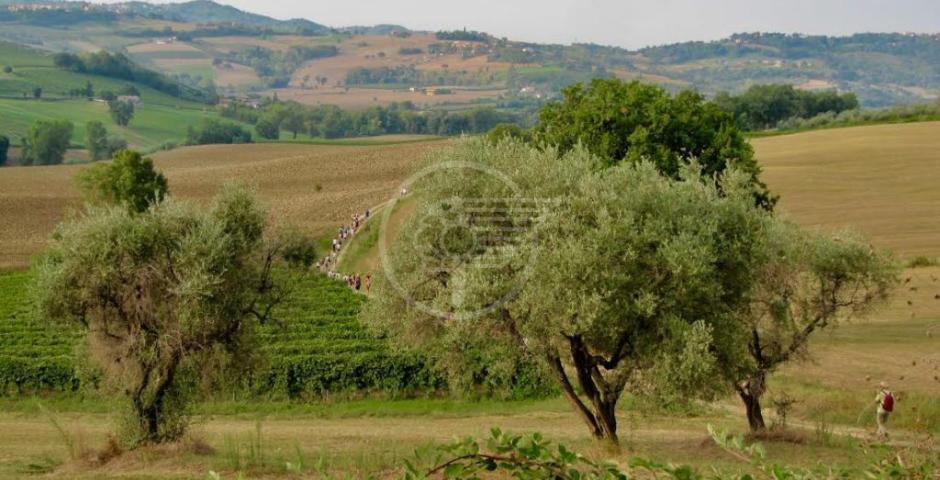 Oltre 140 persone alla Camminata all'alba Oltre 140 persone alla Camminata all'alba