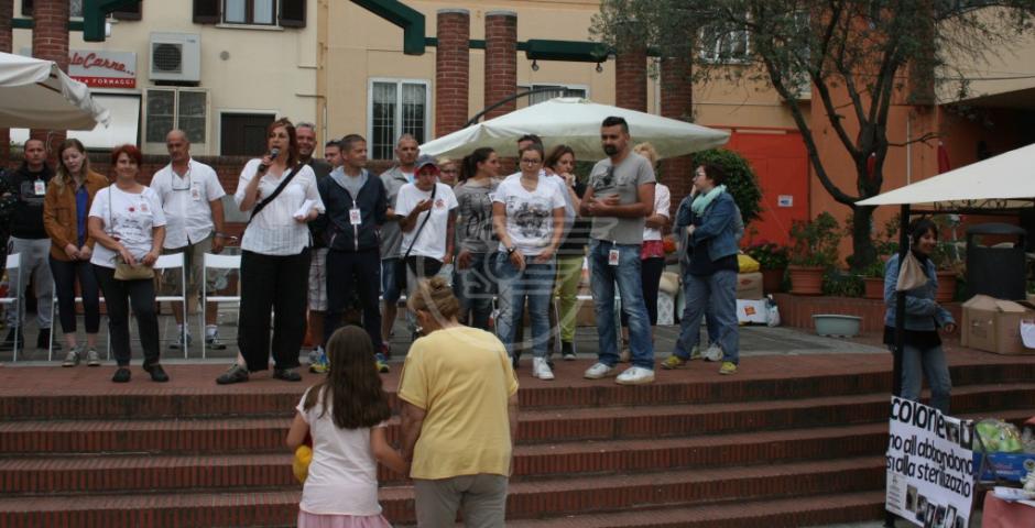 Adozioni di cani e gatti, il 22 torna "Open the Gates" Adozioni di cani e gatti, il 22 torna "Open the Gates"