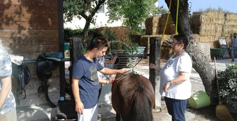 Ippoterapia, primo dei sei incontri a S. Giovanni Ippoterapia, primo dei sei incontri a S. Giovanni